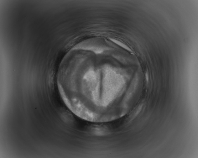 X0000086770275200705111741