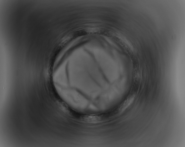 X0000086770277200705111741