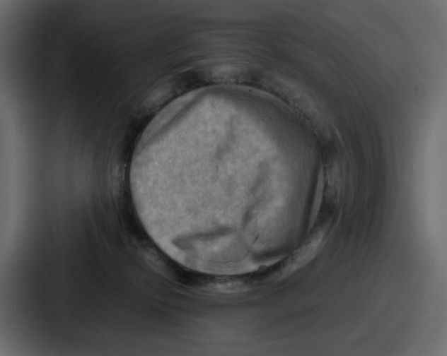 X0000086770278200705111741
