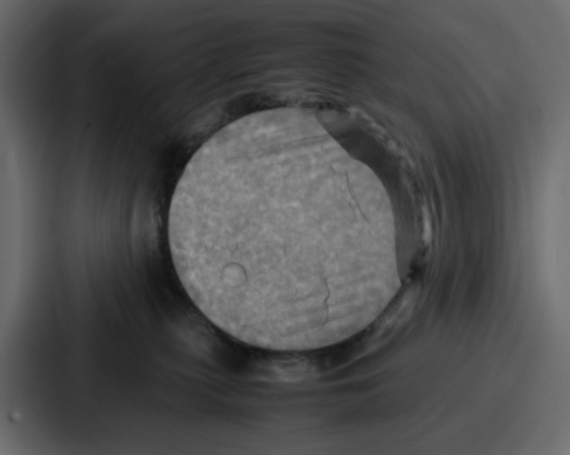 X0000086770279200705111741
