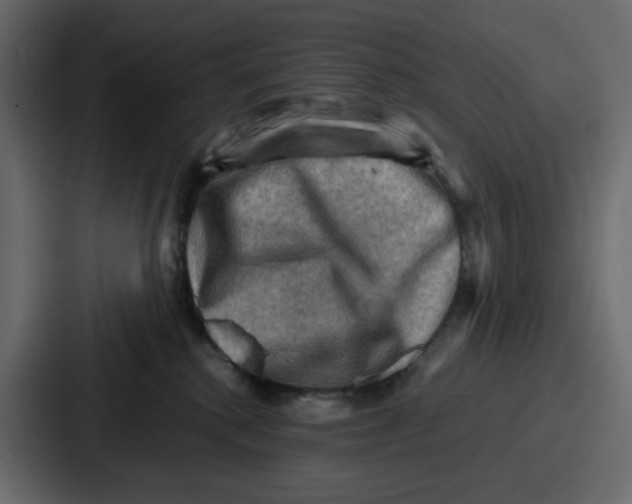 X0000086770280200705111741