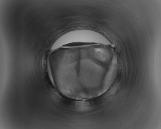 X0000086770281200705111741