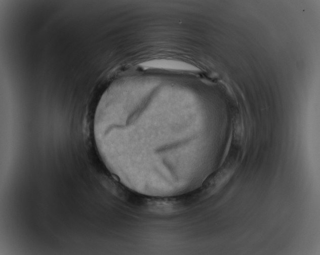X0000086770282200705111741