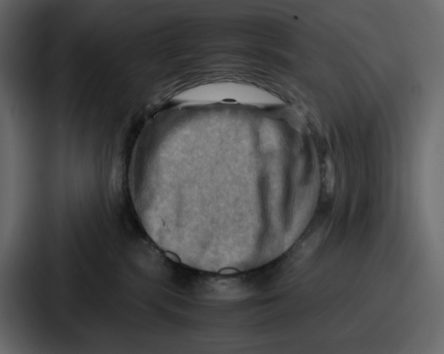 X0000086770283200705111741