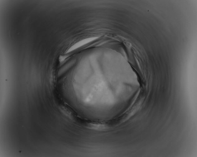 X0000086770284200705111741