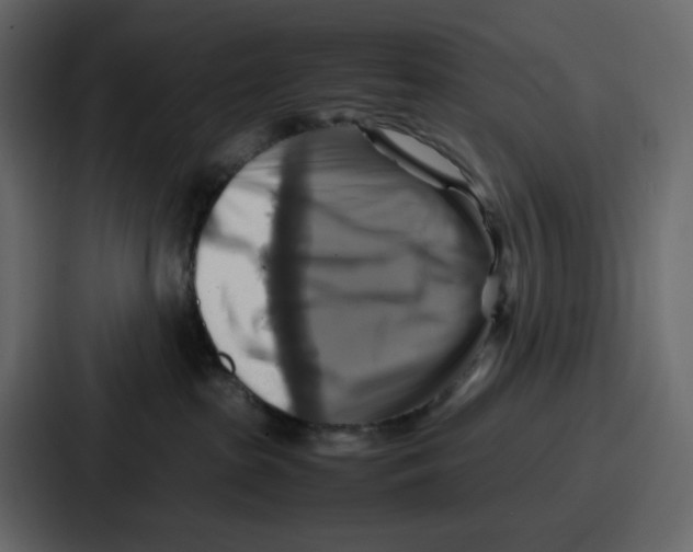 X0000086770285200705111741