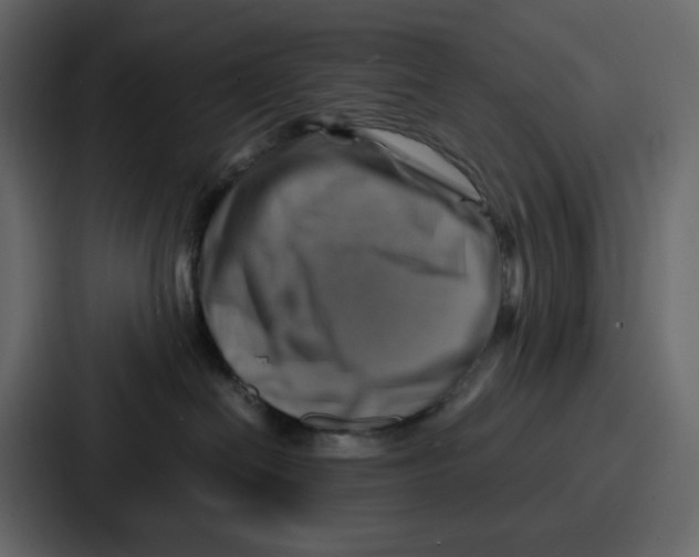 X0000086770286200705111741