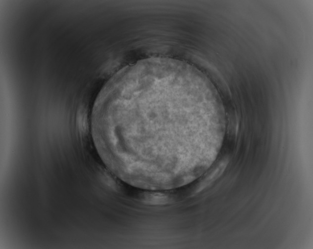 X0000086770287200705111741