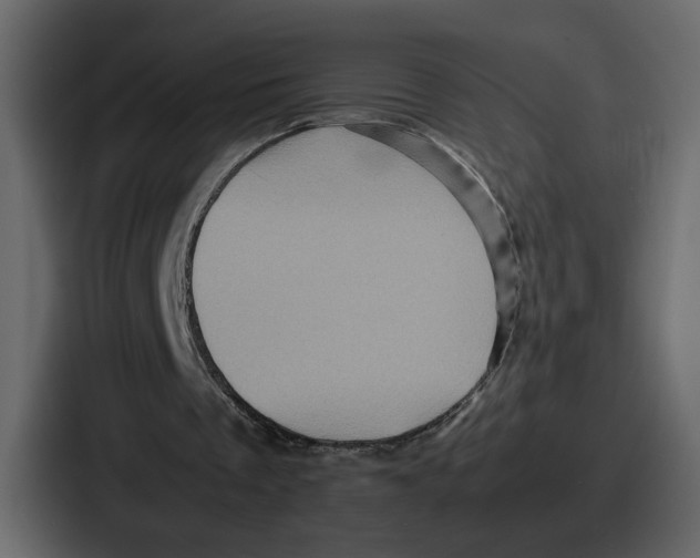 X0000086770289200705111740