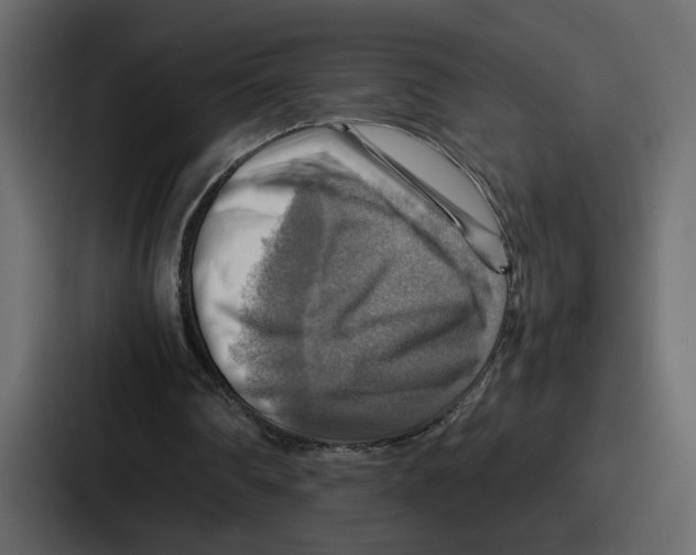 X0000086770290200705111740