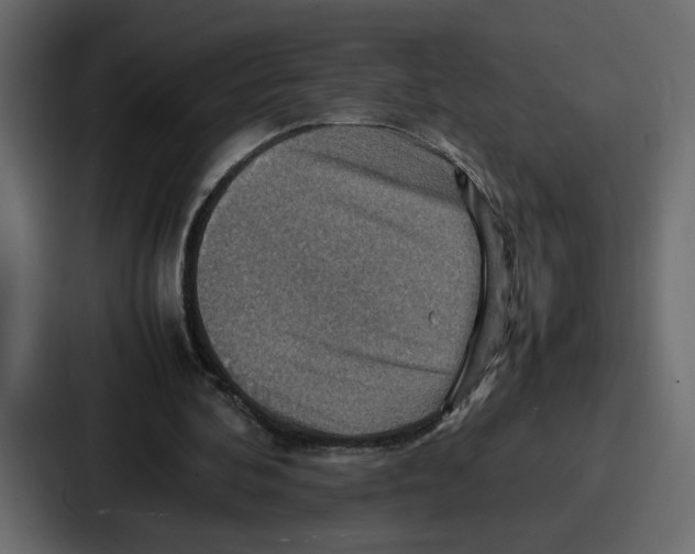 X0000086770292200705111740