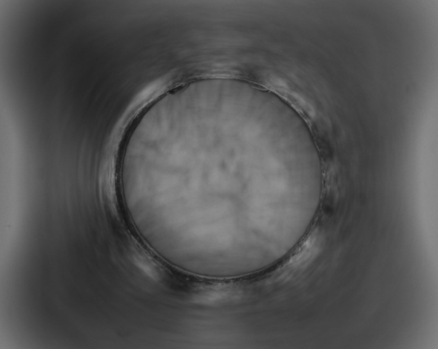 X0000086770293200705111740