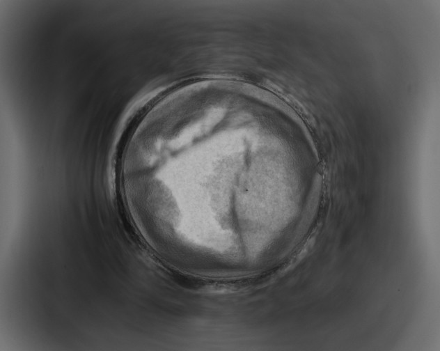 X0000086770294200705111740
