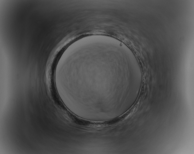 X0000086770295200705111740