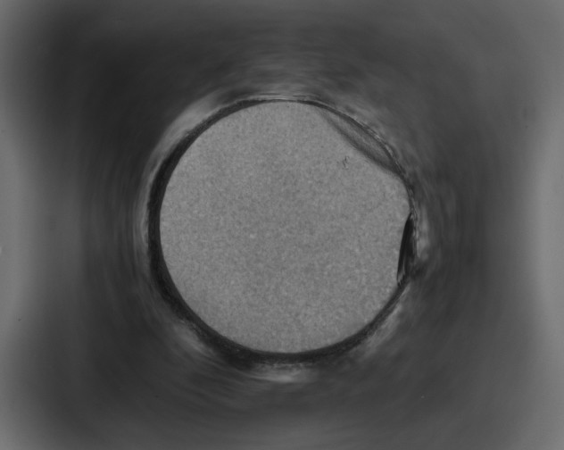 X0000086770296200705111740
