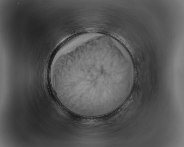 X0000086770297200705111740