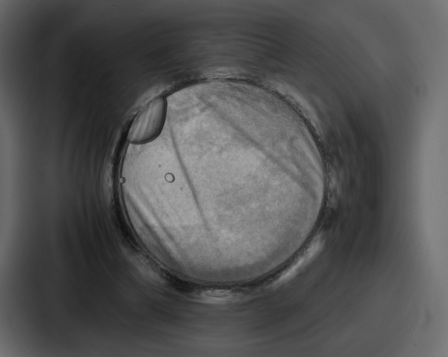 X0000086770298200705111740