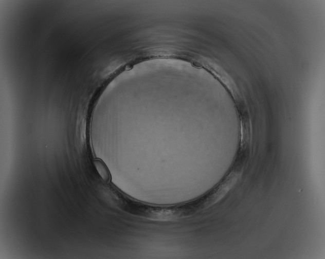 X0000086770301200705111740