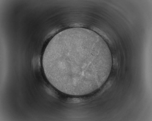 X0000086770302200705111740
