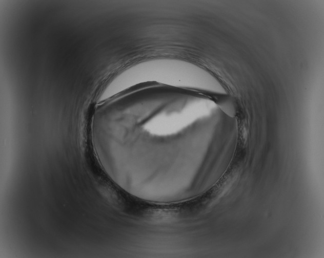 X0000086770303200705111740