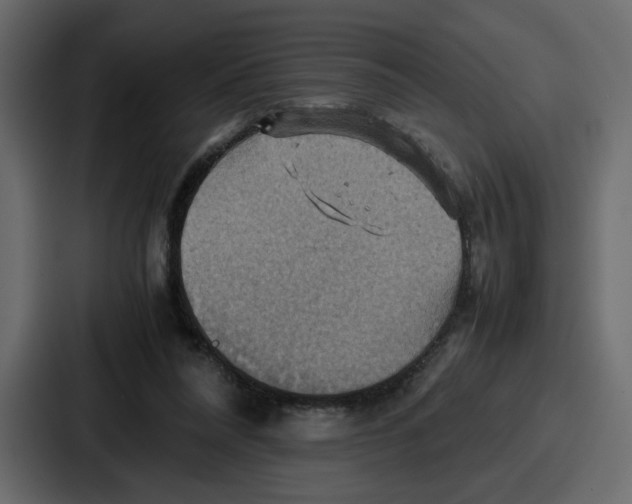 X0000086770304200705111740