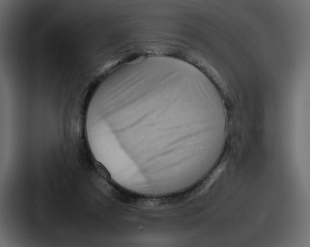 X0000086770305200705111740