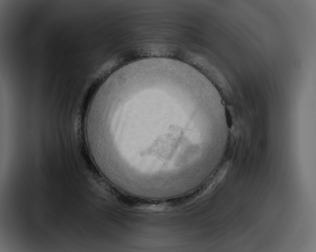 X0000086770306200705111740
