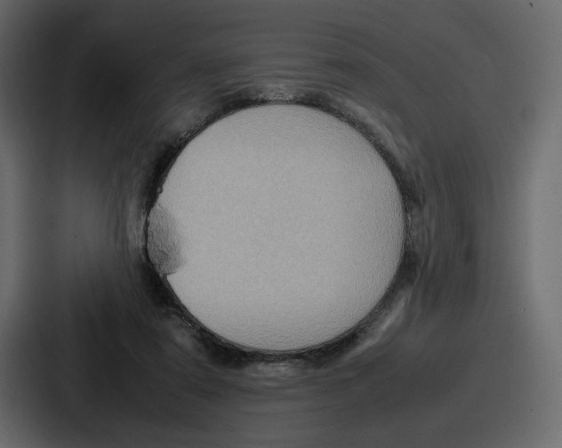 X0000086770307200705111740