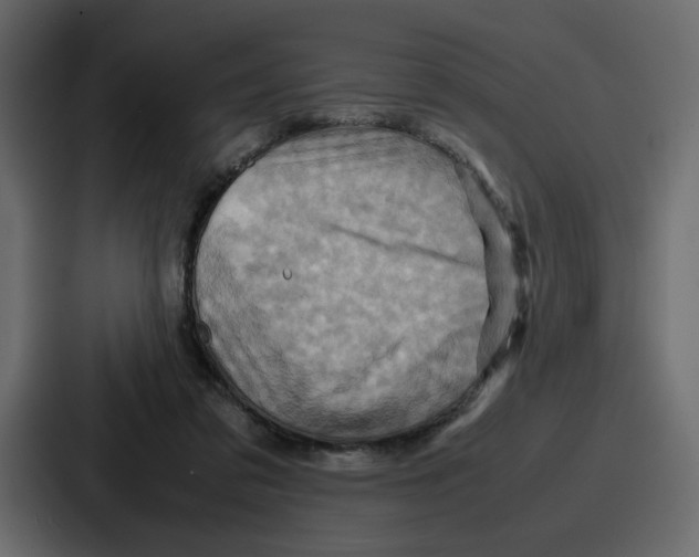 X0000086770309200705111740