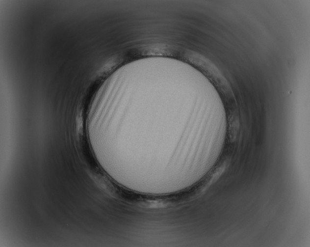 X0000086770310200705111740