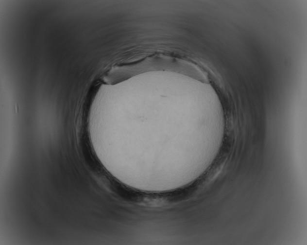 X0000086770311200705111740