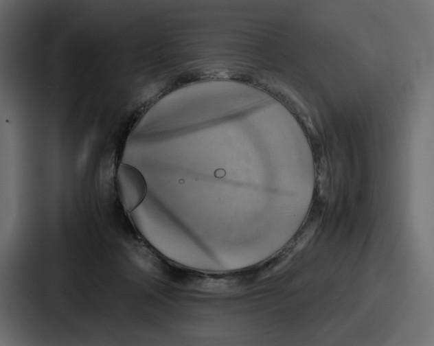 X0000086770314200705111740