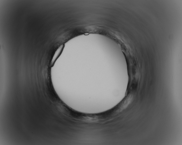 X0000086770317200705111740