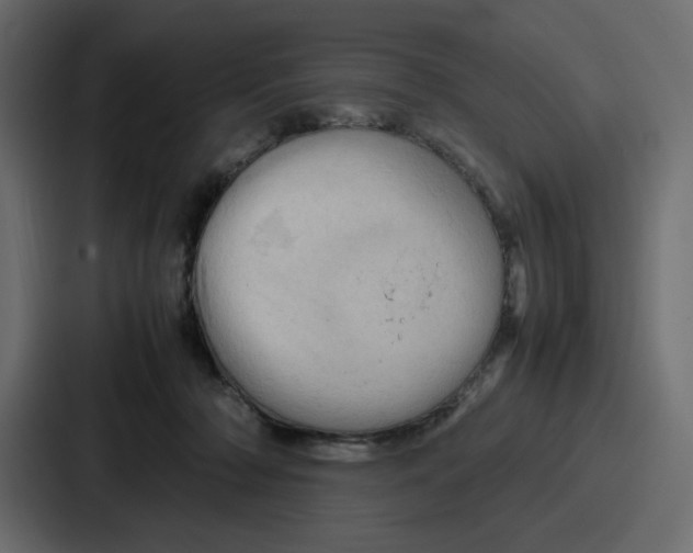 X0000086770318200705111740
