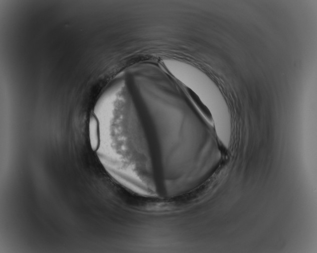 X0000086770319200705111740