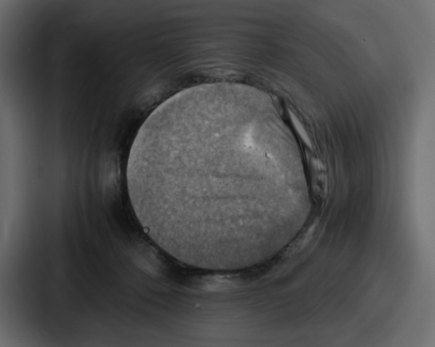 X0000086770320200705111740