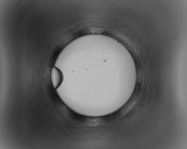 X0000086770321200705111740