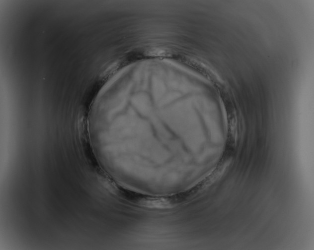 X0000086770322200705111740