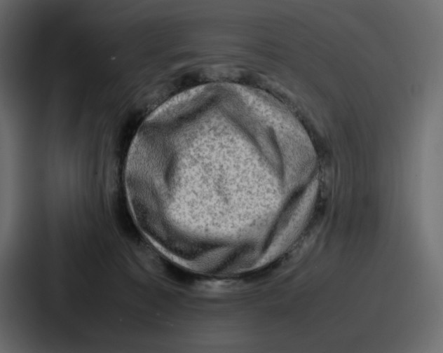 X0000086770323200705111740