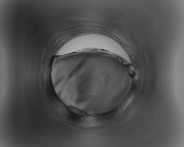 X0000086770325200705111740