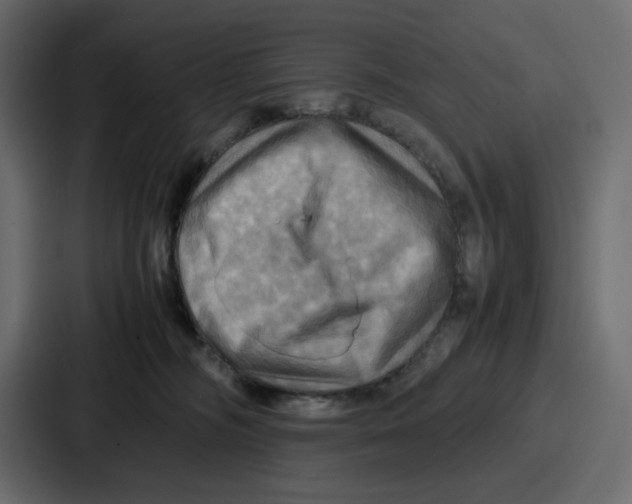 X0000086770326200705111740