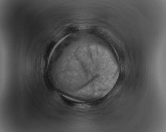 X0000086770327200705111740