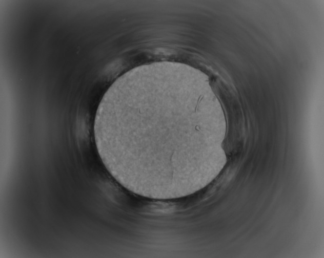 X0000086770328200705111740