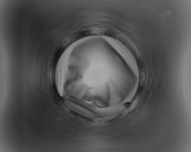 X0000086770329200705111740