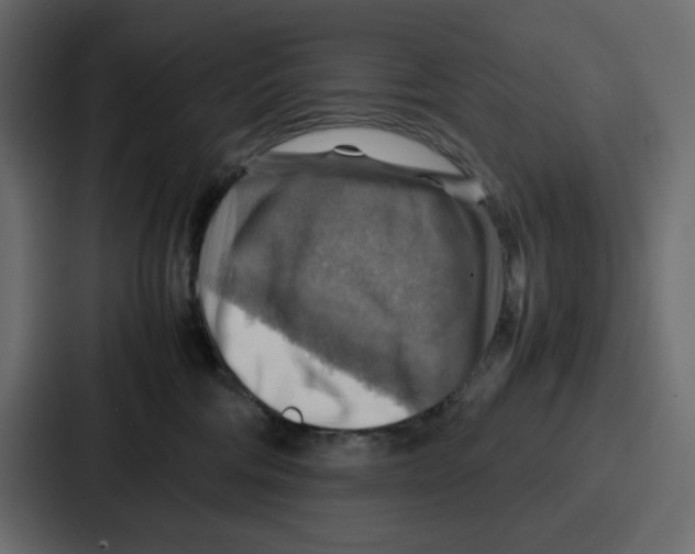 X0000086770330200705111740