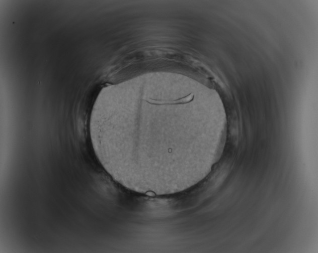 X0000086770332200705111740