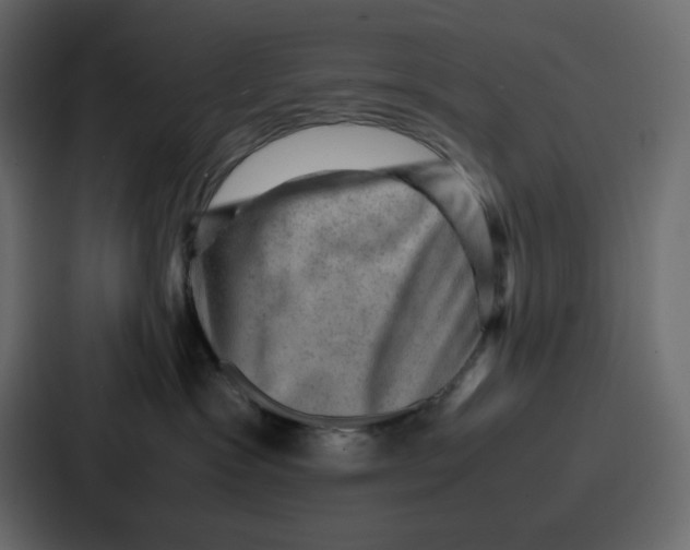 X0000086770333200705111740