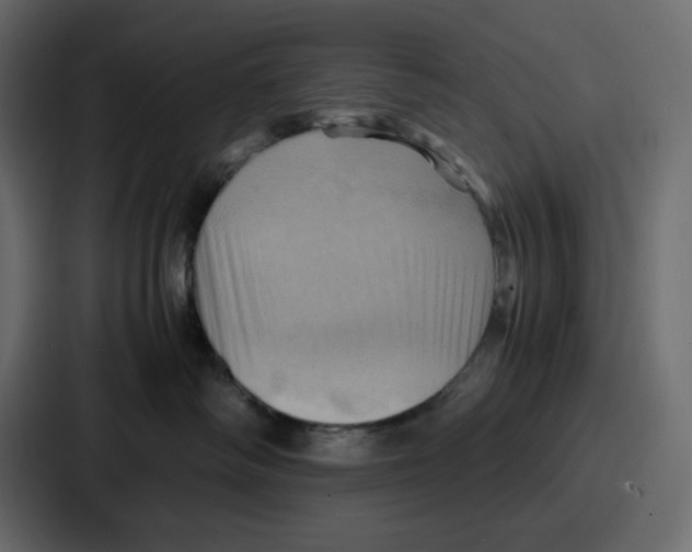 X0000086770334200705111740