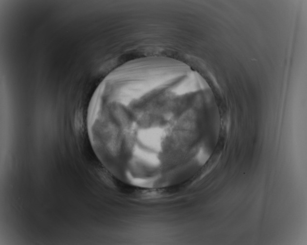 X0000086770335200705111740