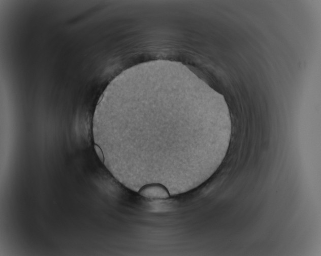 X0000086770336200705111740